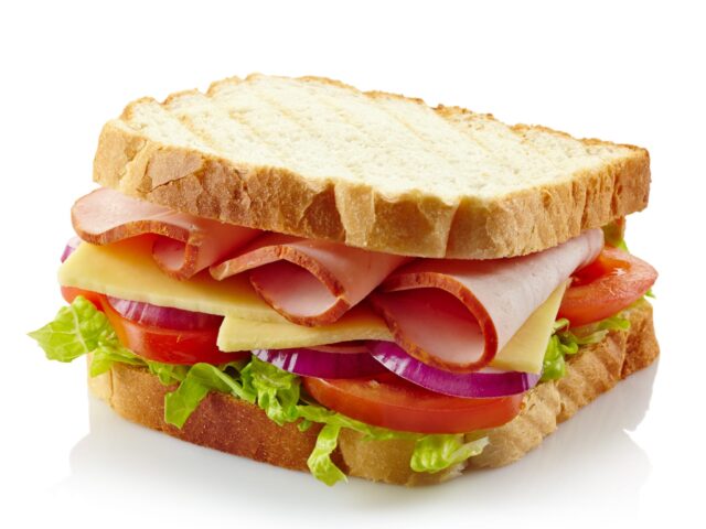 Aliquam ut dictum sapien