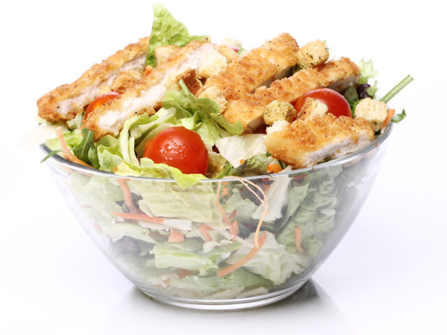 Vestibulum pellentesque metus